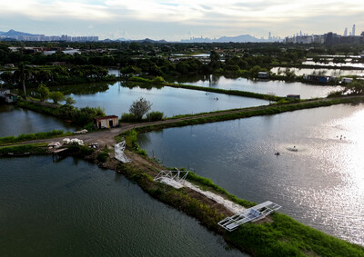 Ecological Devices: Experiments for Hong Kong’s Wetland Ecology